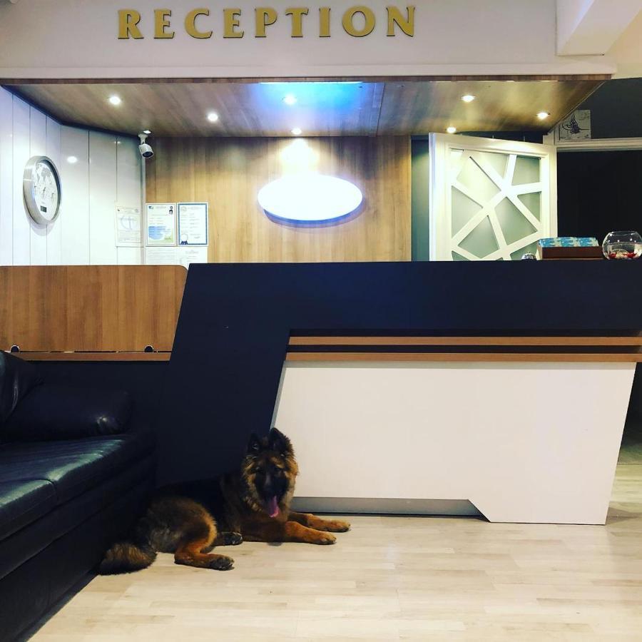 Otel Denizyildizi 페티예 외부 사진